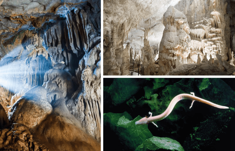 excursion dans une grotte en slovénie autour de Ljubljana