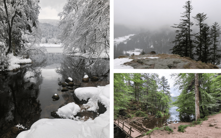 Les 5 Meilleures Randonnées En Raquettes Dans Les Vosges