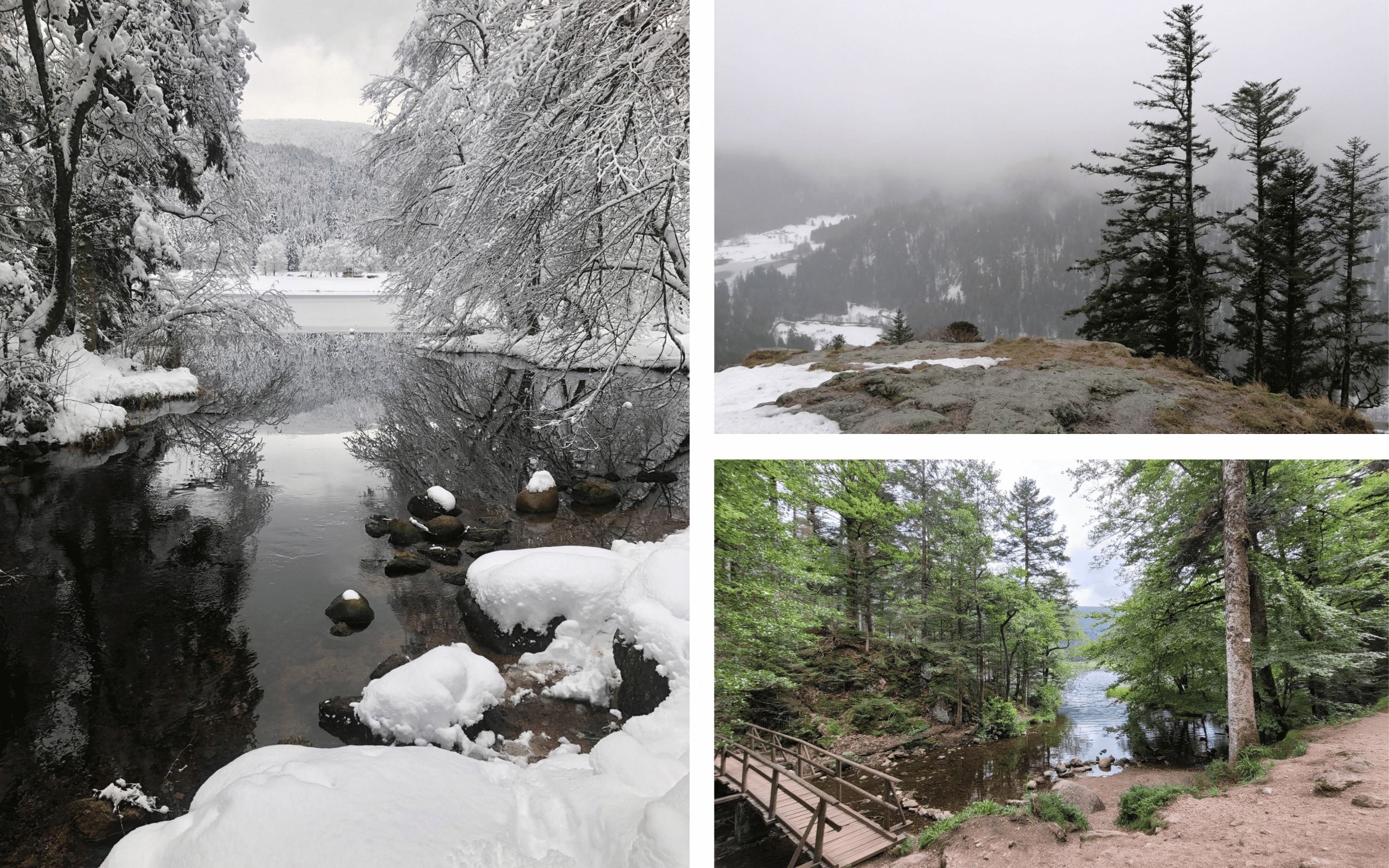 rando-raquettes-vosges-1