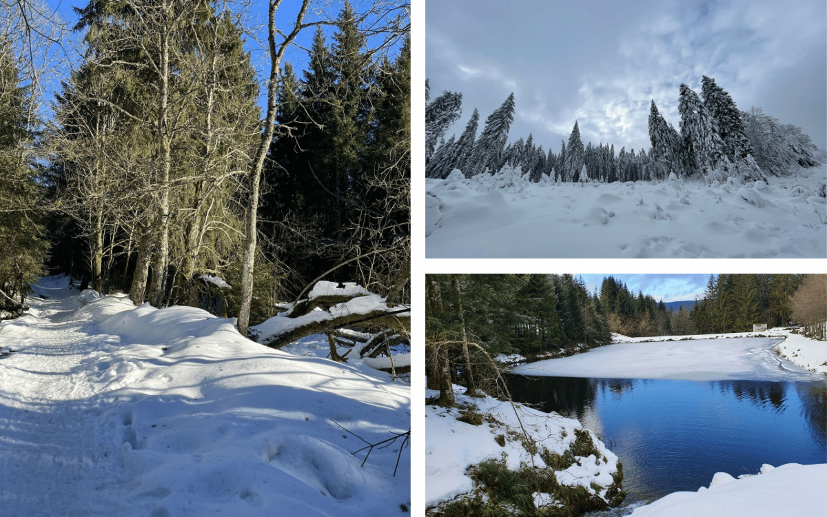 rando-raquettes-vosges-4