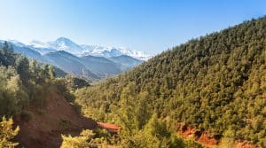 Les 4 meilleures randonnées à Marrakech pour débutants