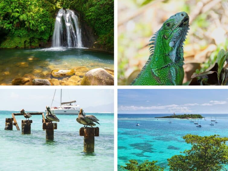Excursion Guadeloupe