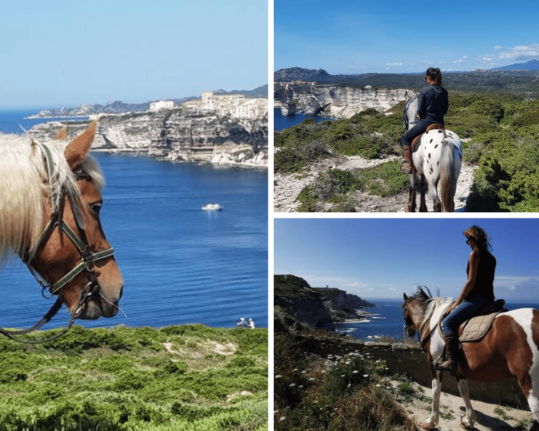 Balade à cheval sur les falaises de Bonifacio