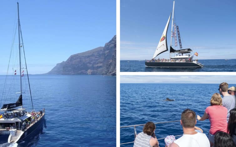 Observez les dauphins et baleines autour de Tenerife en croisière jusqu’à Masca