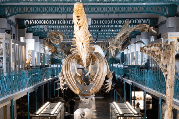 Les 5 musées les plus emblématiques de Lille