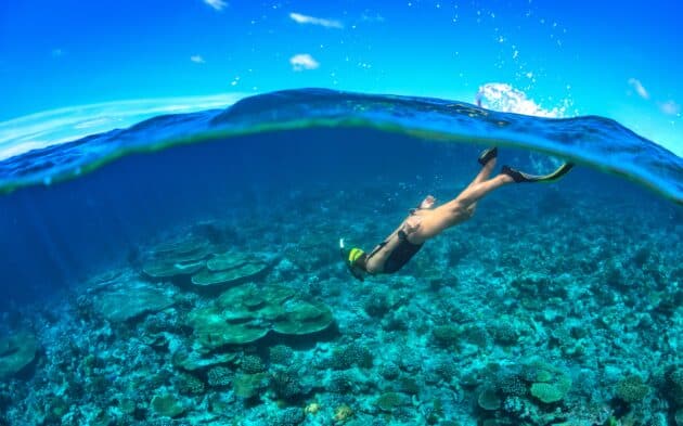 Où faire de la plongée à Fuerteventura ? Les 4 expériences à vivre sous l’eau