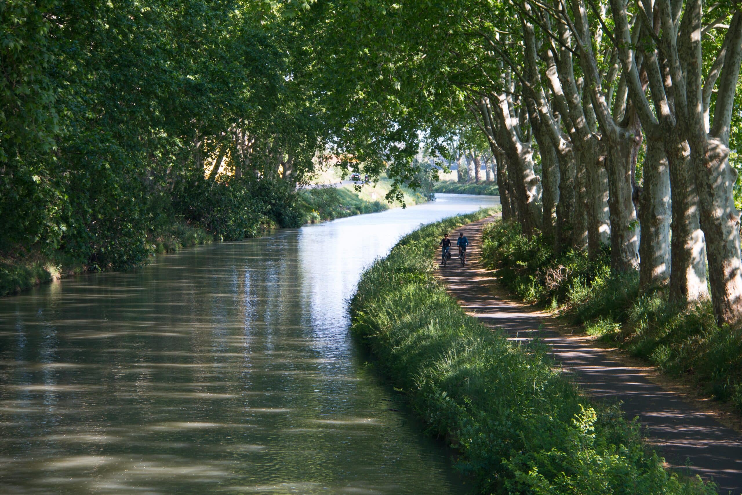 Circuit rando rives du canal du midi