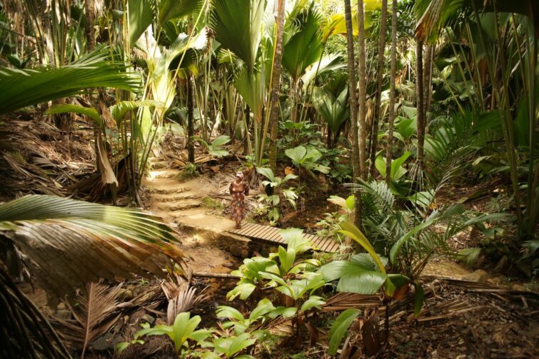 Ecoturismo en las Seychelles: destino sostenible y preservado