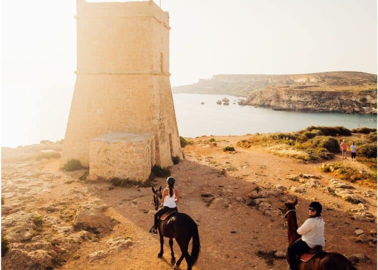 Equitation malte
