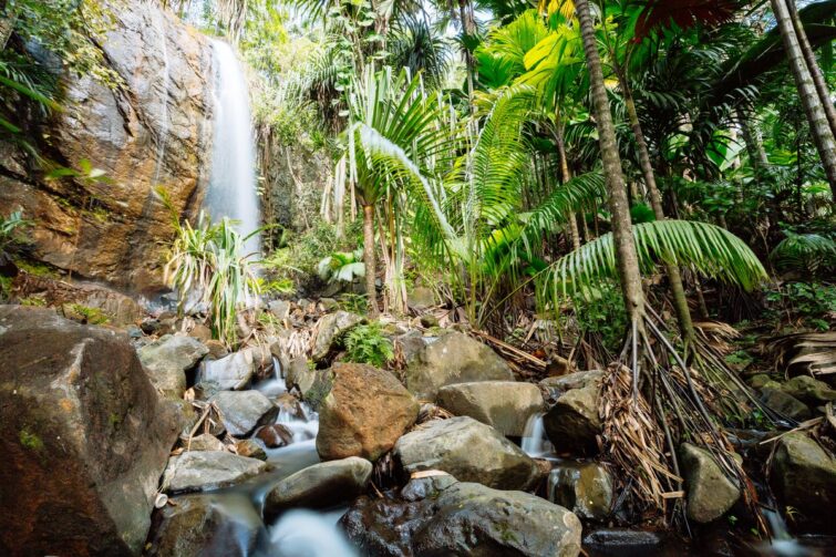 Vallée de Mai, Praslin, Seychelles Waterfall Vallee De Mai, Praslin