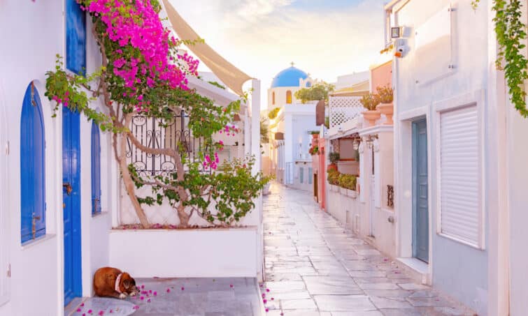 Étroite rue pittoresque d'Oia Village sur l'île de Santorin au coucher du soleil, Grèce