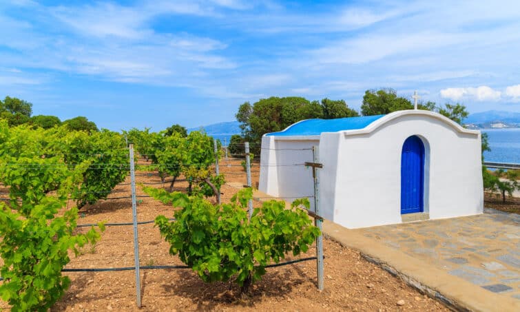 les vignobles, village d'Ampelas, île de Paros, Grèce
