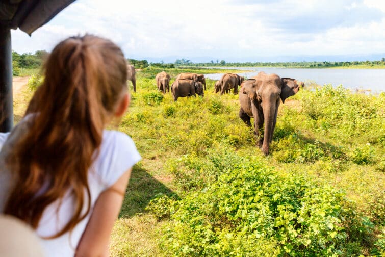 safari en famille au sri lanka