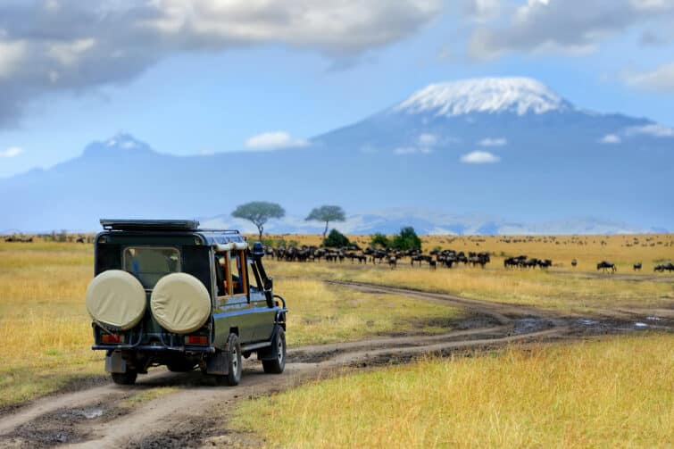 safari avec des gorgones sauvages, réserve de Masai mara au Kenya, en Afrique