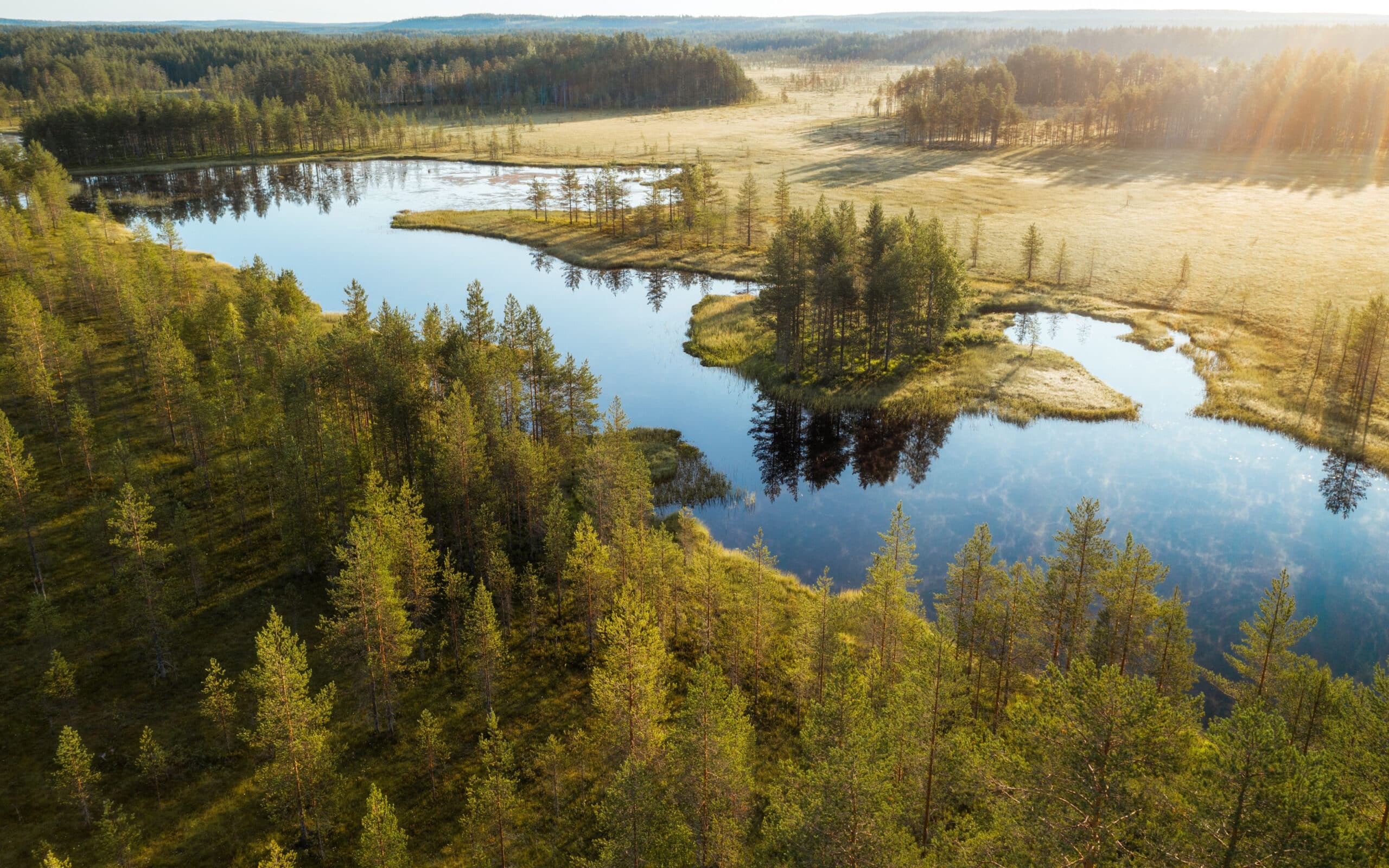 Bog and lake in Tiilikkajärvi National Park in Finland
