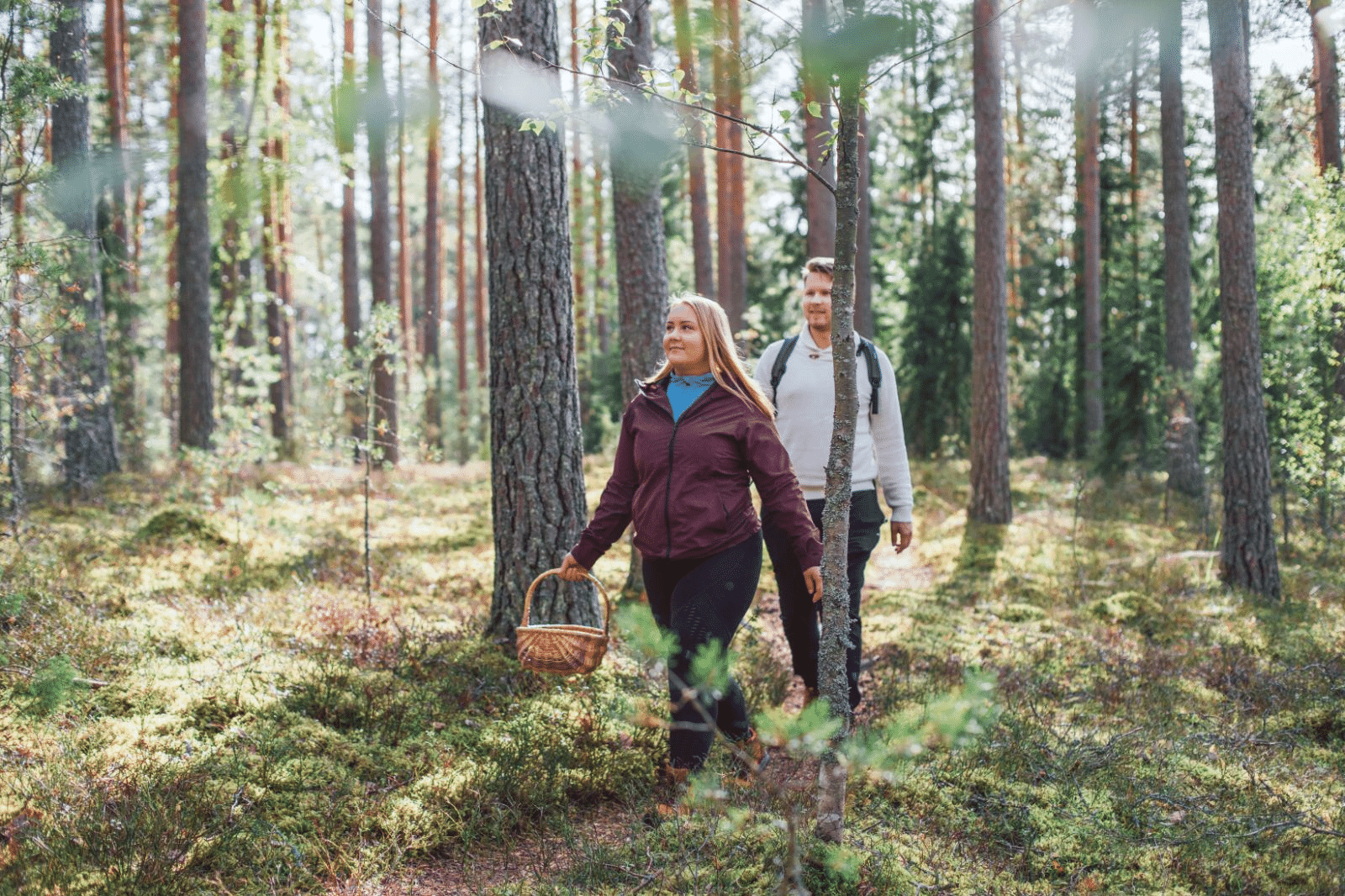Sentier sauvage forêt Finlande
