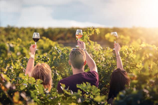 Vignobles et patrimoine : les 10 expériences à vivre autour du vin à Carcassonne