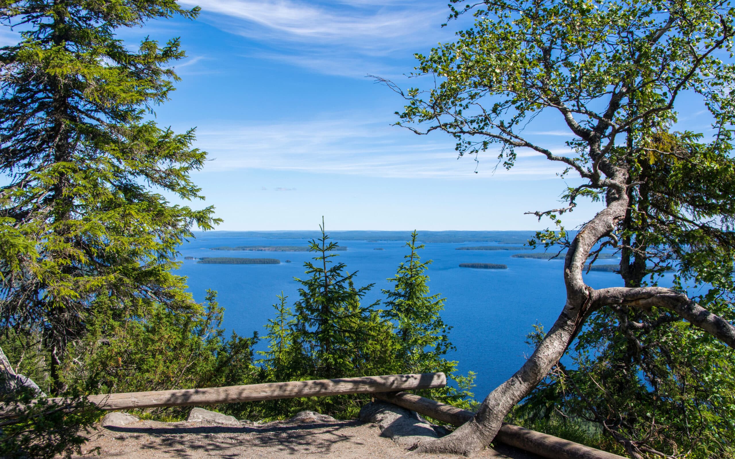 Natural terrace with trees of Ukko-Koli Hill and view to Lake Pielinen on the background, Koli National Park, North Karelia, Finland