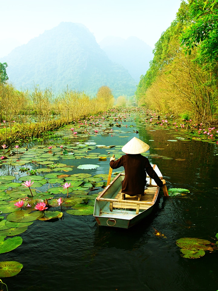 paysage pittoresque des rizières en terrasse au Vietnam