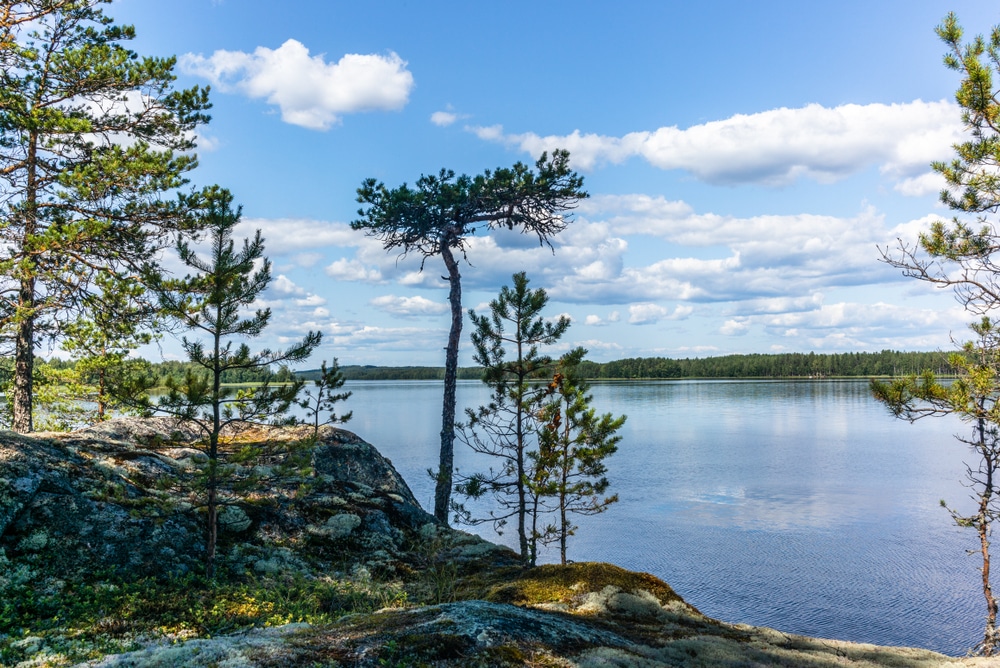 Faune région des lacs Finlande parc Linnansaari