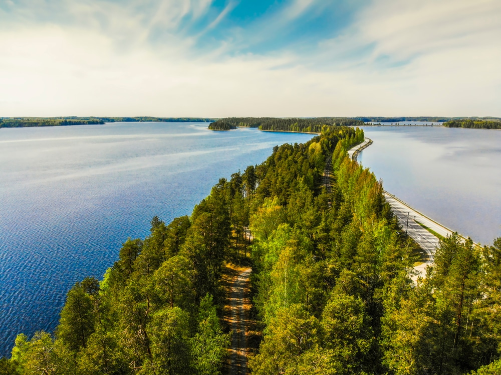 Faune région des lacs Finlande  Savonlinna