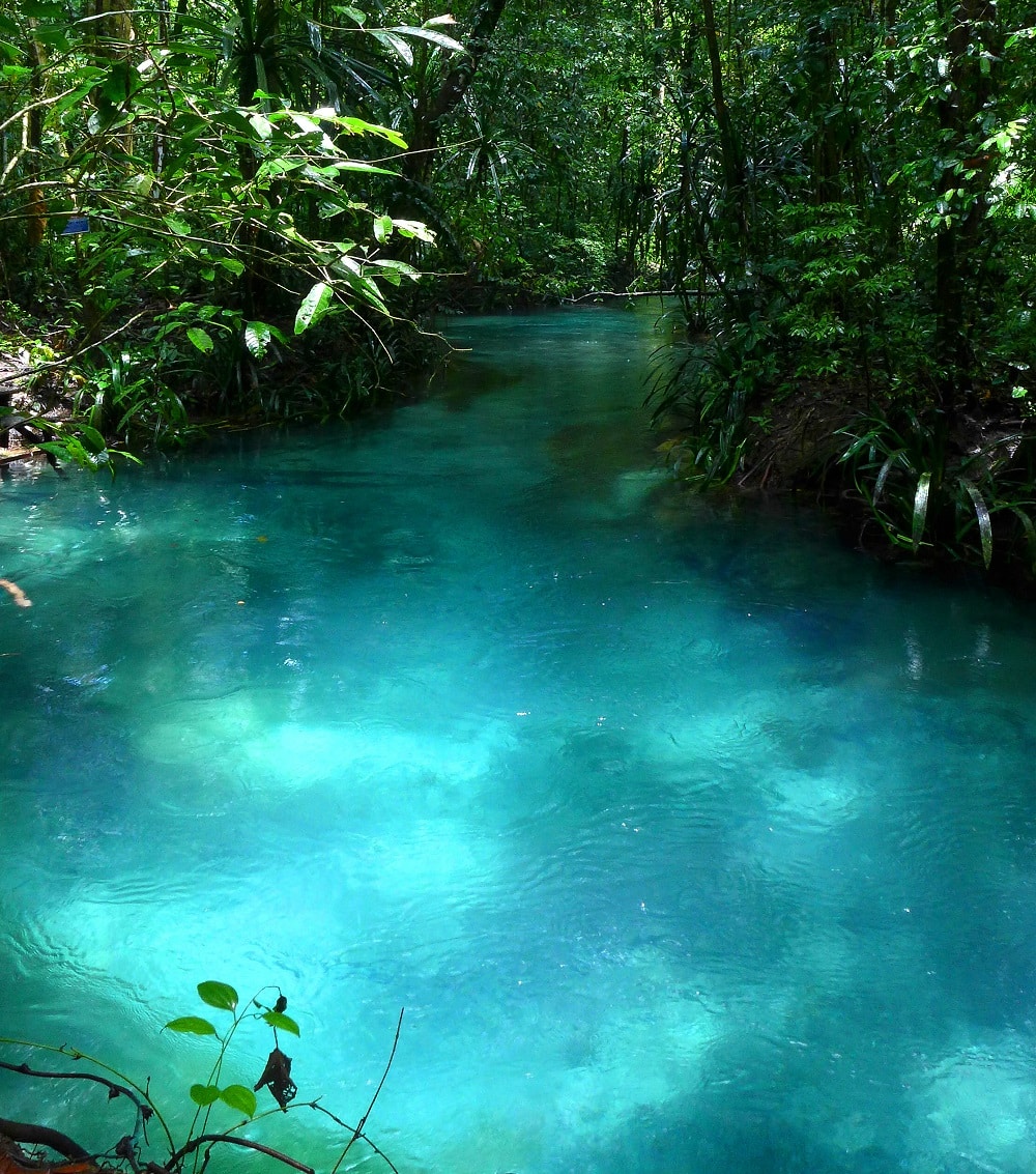 Rivière bleue de Kalibiru à Raja Ampat