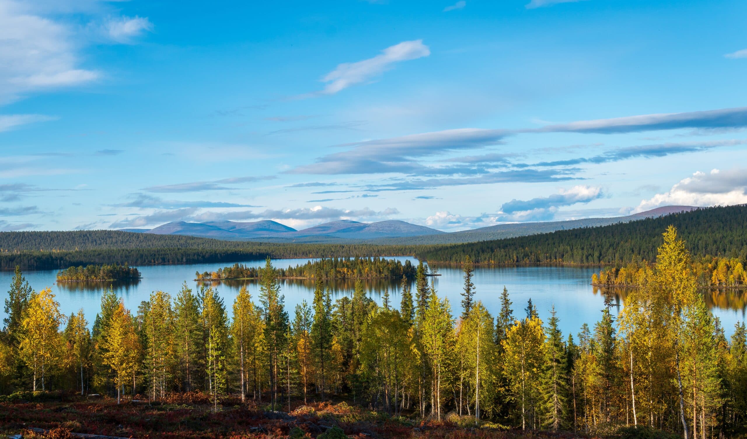 Pallas fells et Särkijärvi dans le parc national de Pallas-Yllästunturi