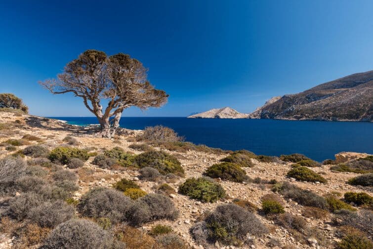 Baie d'Ormos Roussa à Kalotaritissa sur la côte est de l'île grecque de Donoussa