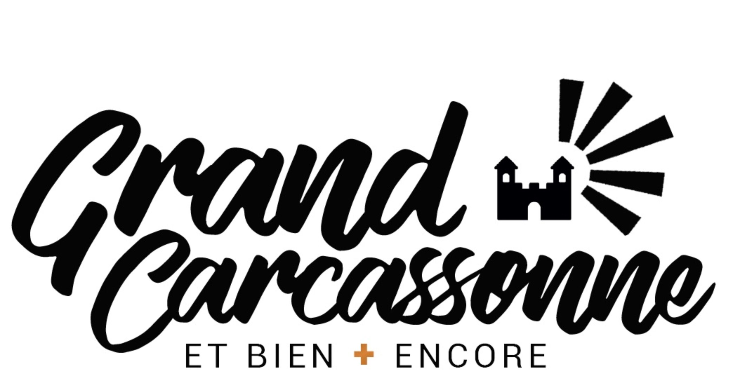Partner Icon