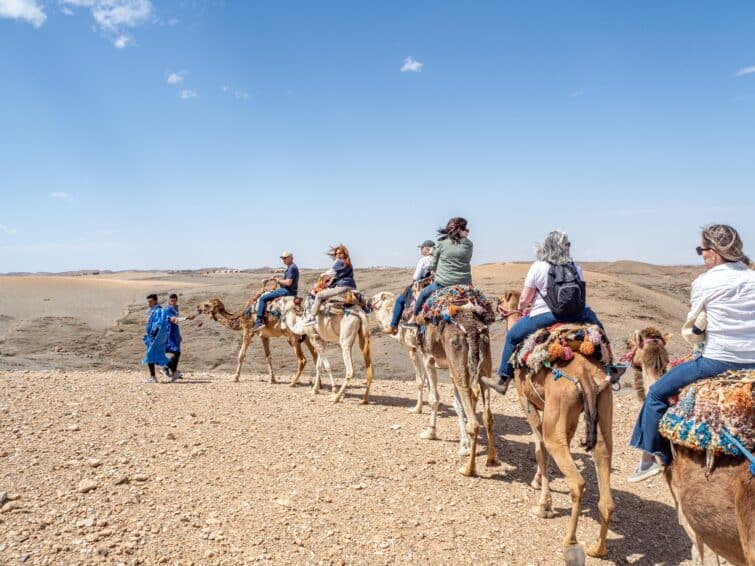 caravane de chameaux désert d'Agafay