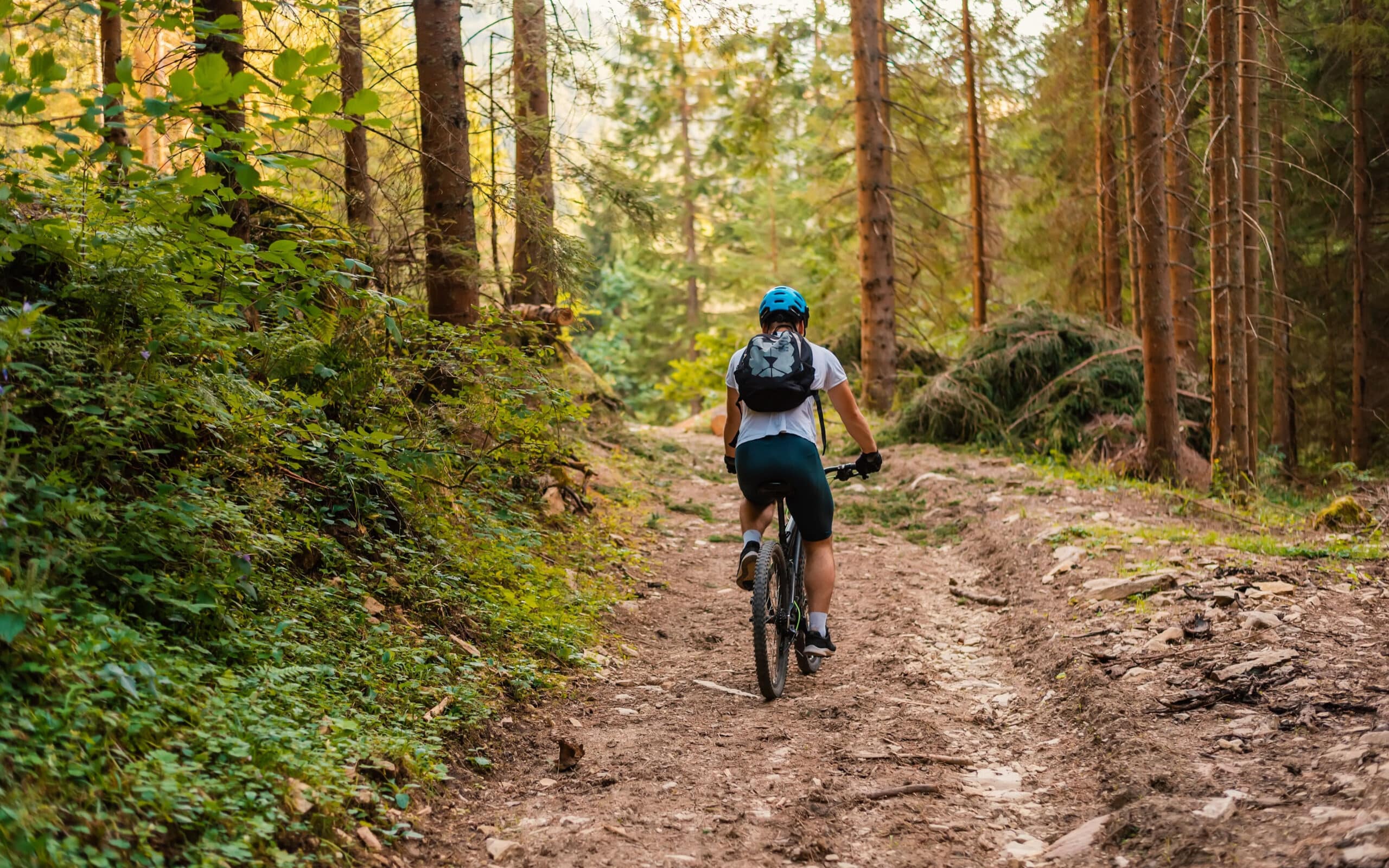 cycliste en VTT sur un sentier dans la forêt active sport