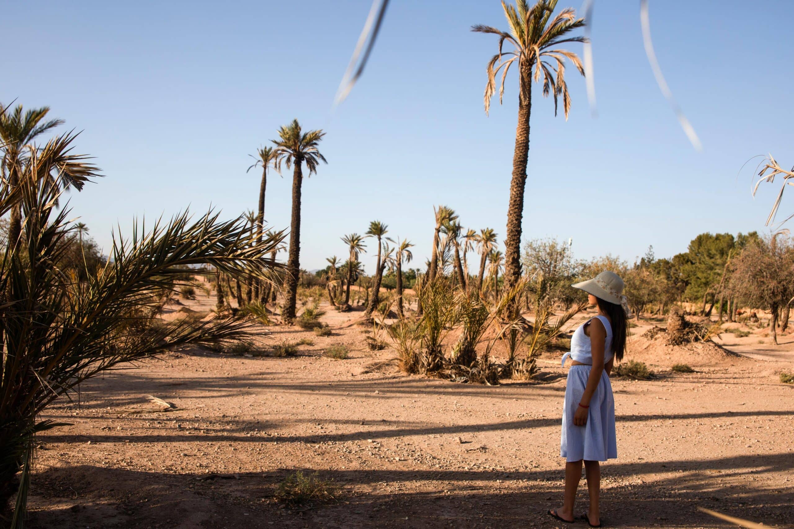 la palmeraie de Marrakech
