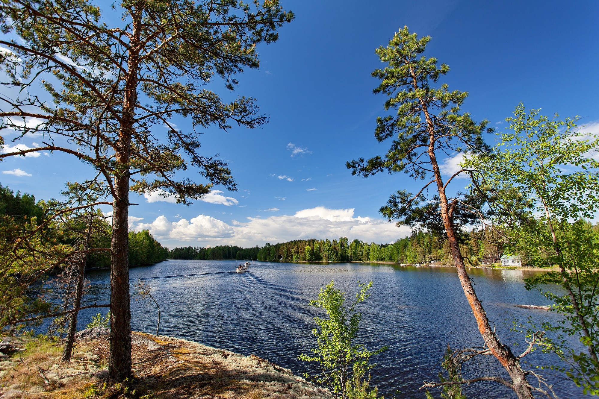 Le lac Saimaa, dans la région des lacs en Finlande