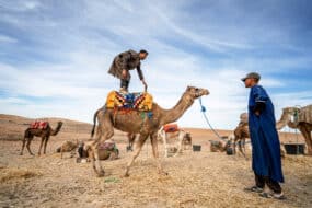 Visiter le désert d'Agafay au Maroc
