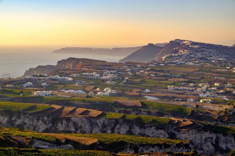 vue panoramique sur les vignobles à Santorin