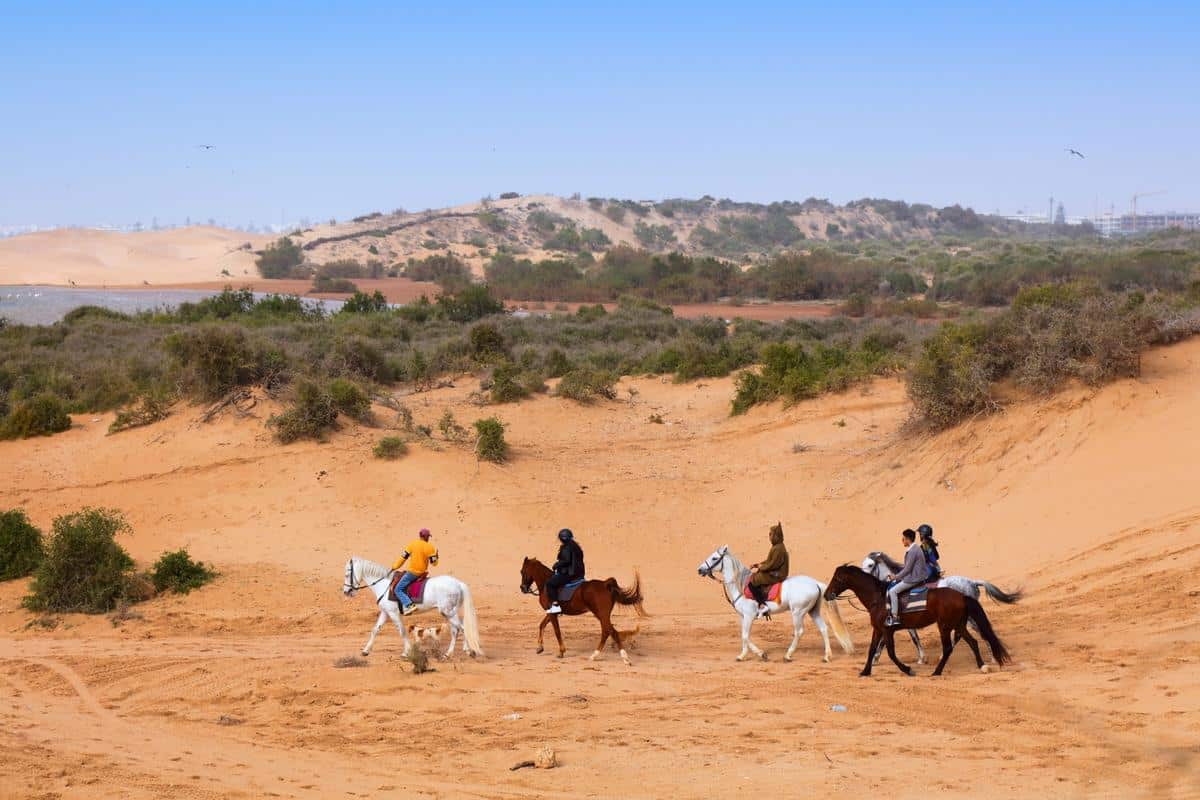 Balade à cheval dans la station balnéaire d'Essaouira, Maroc