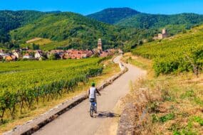 Cycliste en Alsace