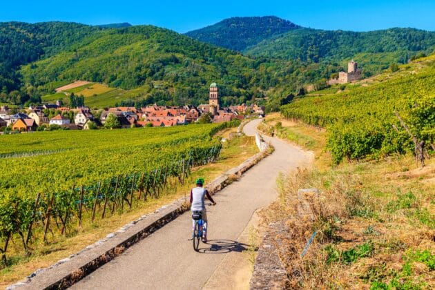 Cycliste en Alsace