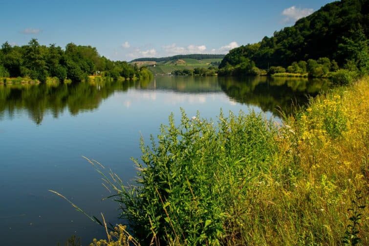 Los 8 mejores lugares para los amantes de la pesca en Alsace Lorraine