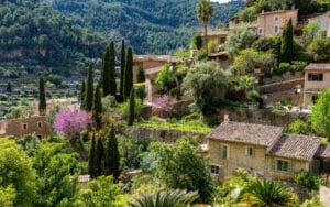 Majorque nature