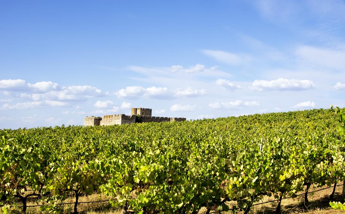 Route des vins dans l'Alentejo