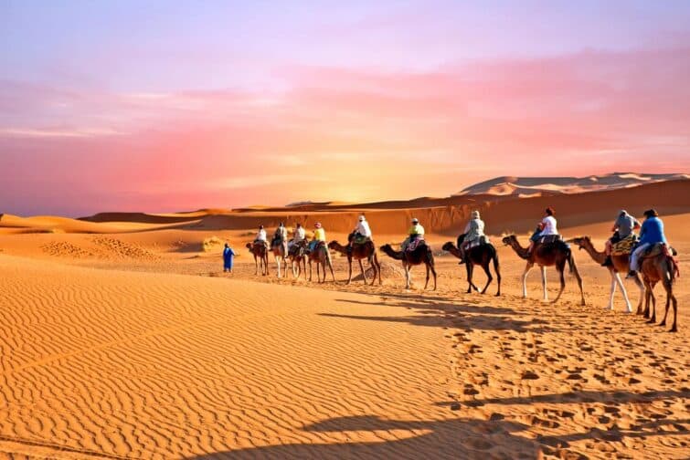 balade à dos de chameau dans le désert marocain
