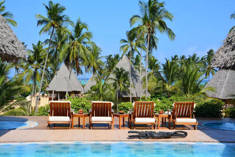 chaises longues devant piscine et palmier