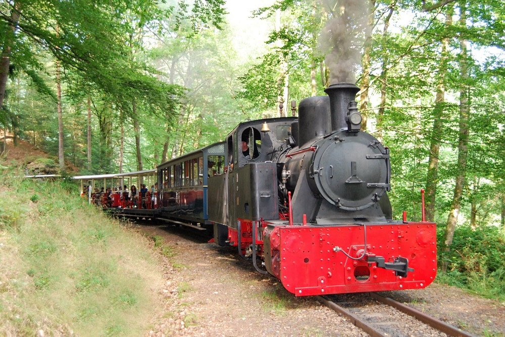 Locomotive, train forestier Alsace-Lorraine