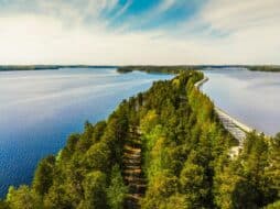 Observer la faune de la région des lacs en Finlande