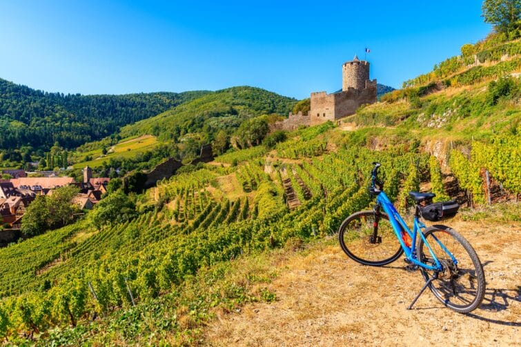 vélo devant des vignobles en Alsace