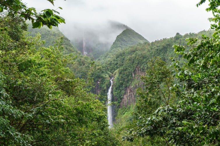 Chutes du Carbet, forêt tropicale de Guadeloupe