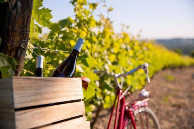 Itinéraires à vélo dans les vignes autour de Montpellier