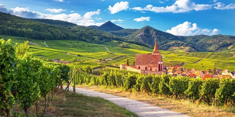 Route des vins d'Alsace à travers le vignoble alsacien