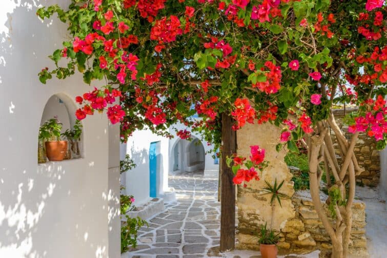 Village fleuri de Prodromos à Paros